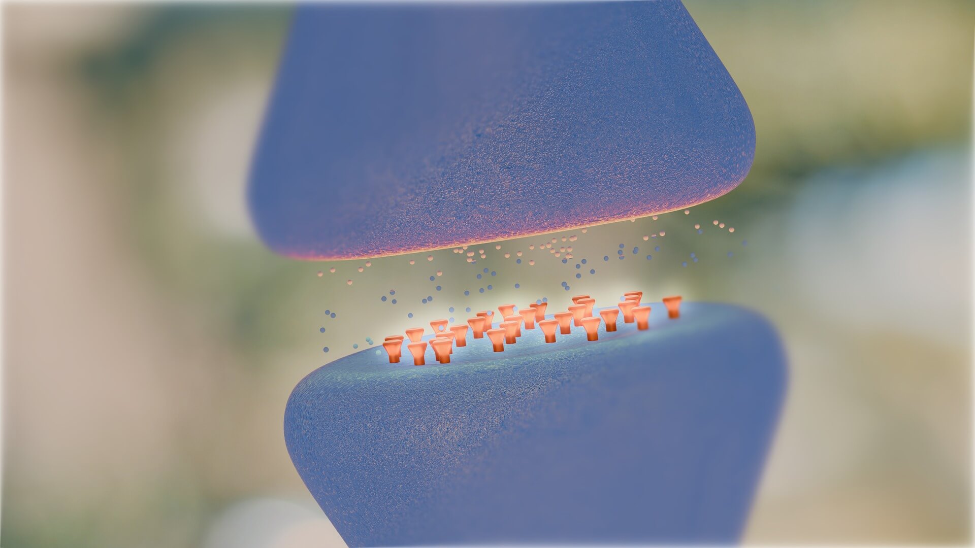 réguler les neurotransmetteurs en naturopathie